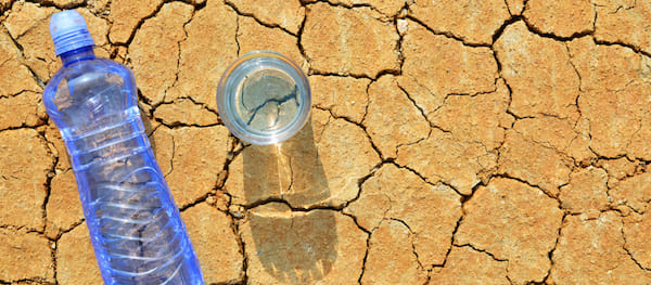 ЕСЛИ НЕ ПИТЬ ВОДУ, ЧТО ПРОИЗОЙДЕТ С ОРГАНИЗМОМ
